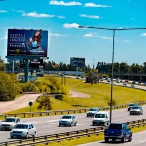 210005-B / AU. Panamericana (Ramal Pilar) Km 45 - Ramal 8 - Cara B